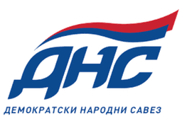 DNS logo